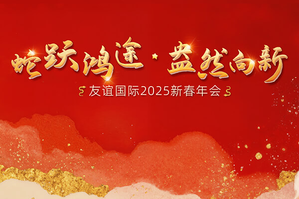 蛇躍鴻途,盎然向新 | 友誼國際2024年度工作總結表彰會隆重舉行